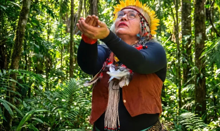 Museu Histórico da Cidade celebra saberes indígenas no Rio de Janeiro