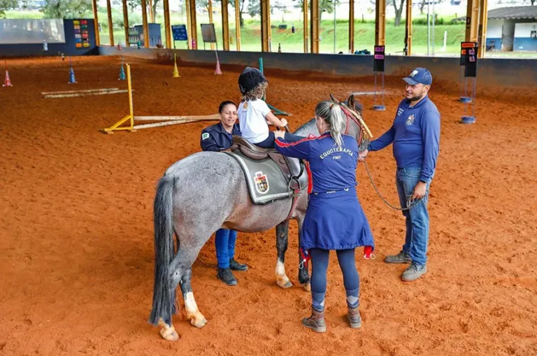 Aprovada criação do Programa Municipal de Equoterapia para pessoas com deficiência