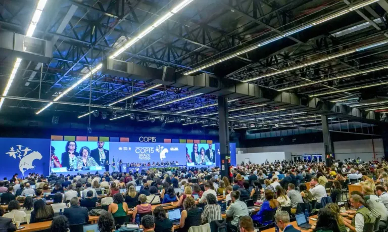 Diversidade marca cerimônia de abertura da COP15 em Campo Grande