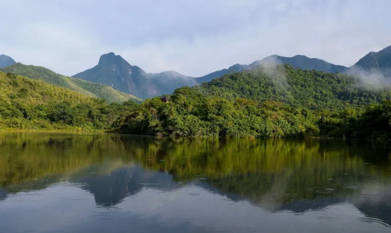 Qualidade dos rios da Mata Atlântica continua precária, aponta estudo