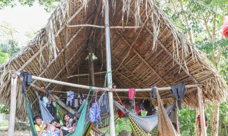 Povo Parakanã, do Pará, reocupa território após retirada de invasores