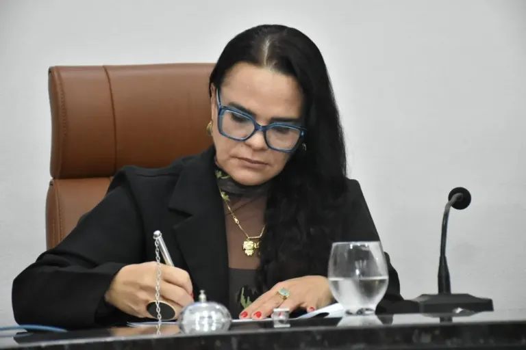 Limpeza e asfaltamento de ruas são solicitados em indicações na Câmara