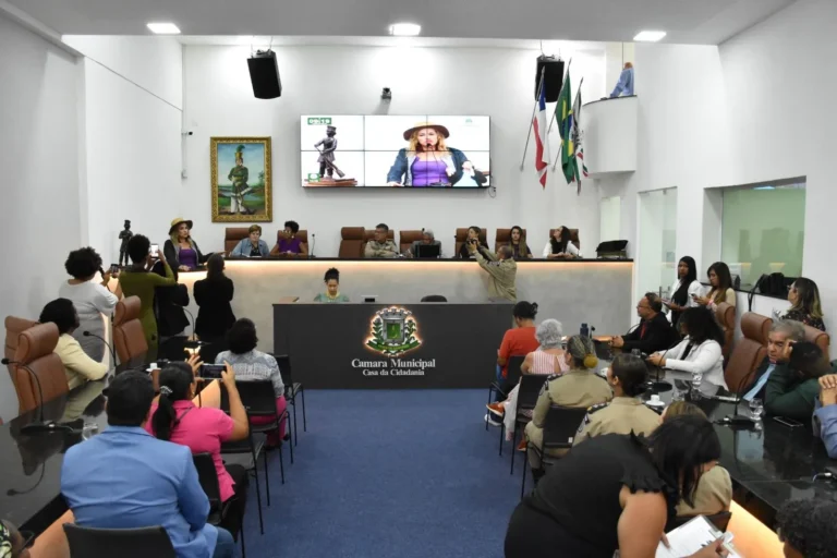 Audiência Pública discute papel do poder público no enfrentamento ao feminicídio