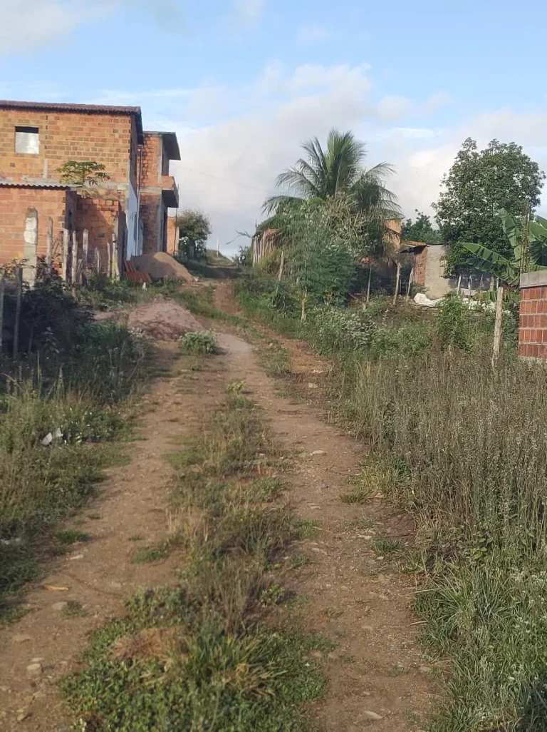 Moradores pedem limpeza, patrolamento e nivelamento em estrada do bairro Papagaio