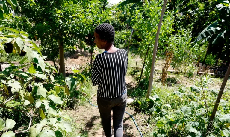 Horta comunitária reúne memória, cuidado e cidadania em favela do Rio