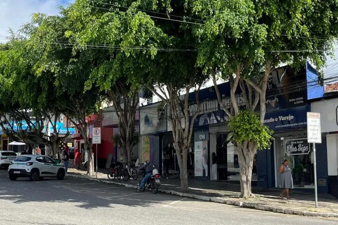 Secretaria Municipal de Meio Ambiente ressalta importância da arborização e manutenção das árvores na região central