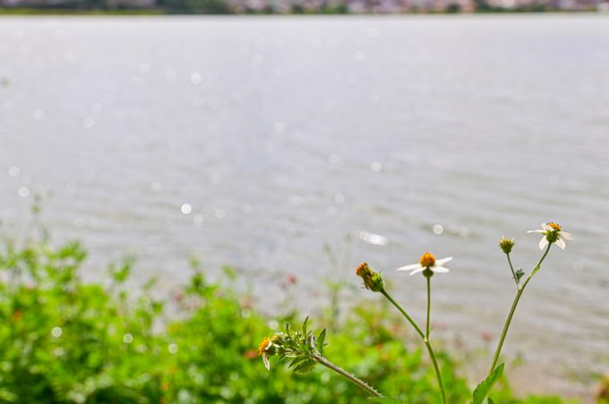 Semana Santa: programação começa no Domingo de Ramos com concentração de 17 paróquias na Lagoa das Bateias