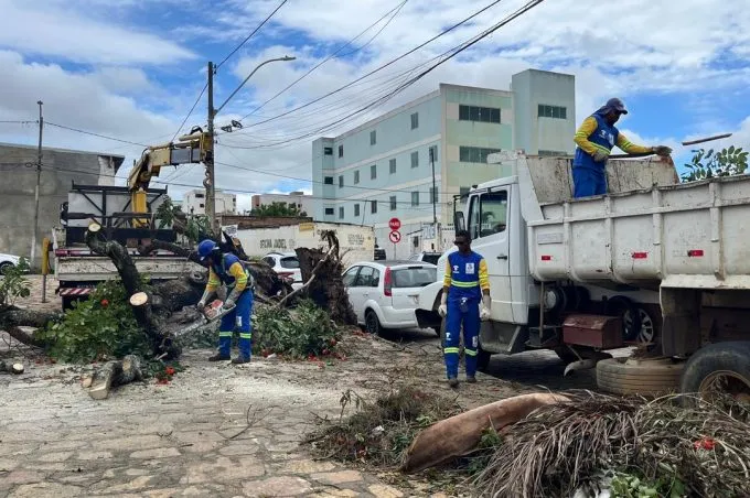 Sesep atua com mutirão de limpeza, poda e Operação Cata-Bagulho em oito locais da cidade