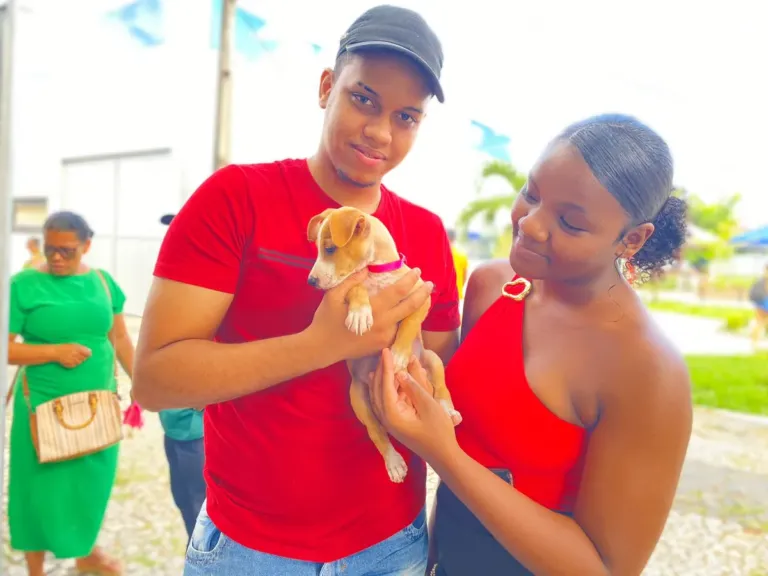Feira de Adoção de Animais incentiva cuidado e promove novos lares para cães e gatos em Alagoinhas