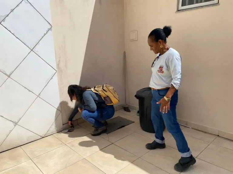 Agentes de Combate às Endemias realizam visitas domiciliares neste fim de semana em Alagoinhas