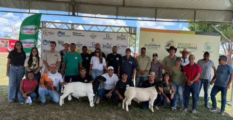 Julgamento ranqueado de ovinos eleva o patamar técnico da Sealba Alagoinhas