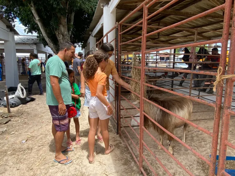 Famílias visitam Parque de Exposições no encerramento da Sealba Alagoinhas 2026