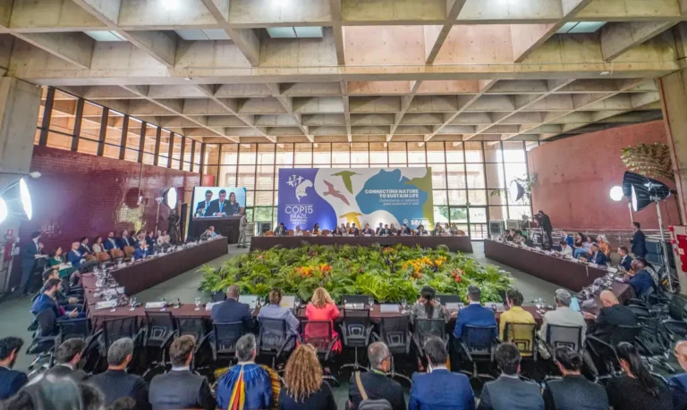 COP15 aprova maior proteção de bagres gigantes da Amazônia e ariranhas