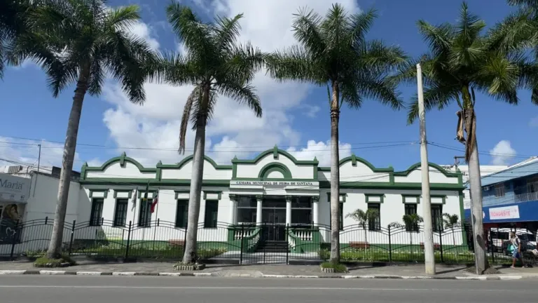 Debate de temas sociais e homenagem a categorias em sessões solenes da Câmara