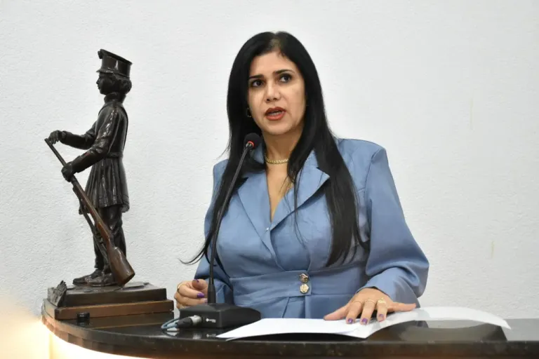 Fórum sobre violência no trânsito e espaço de apoio às mulheres, entre ações da Câmara da Mulher Empresária