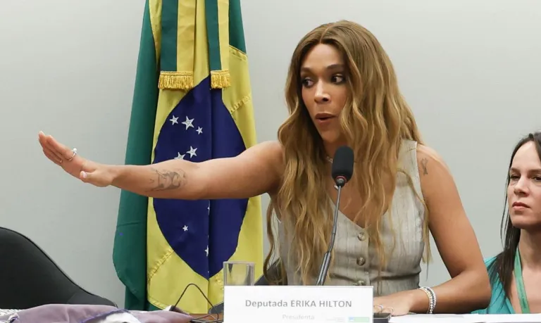 Comissão enfrentará “sistema organizado de opressão”, diz Erika Hilton