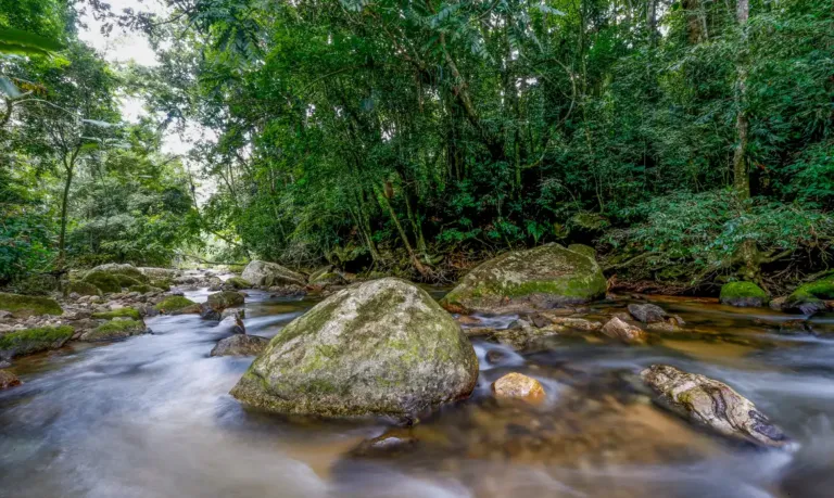Plano busca fortalecer Sistema Nacional do Meio Ambiente até 2036