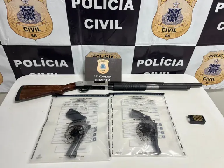Armas são apreendidas em imóvel de investigado por violência doméstica em Luís Eduardo Magalhães