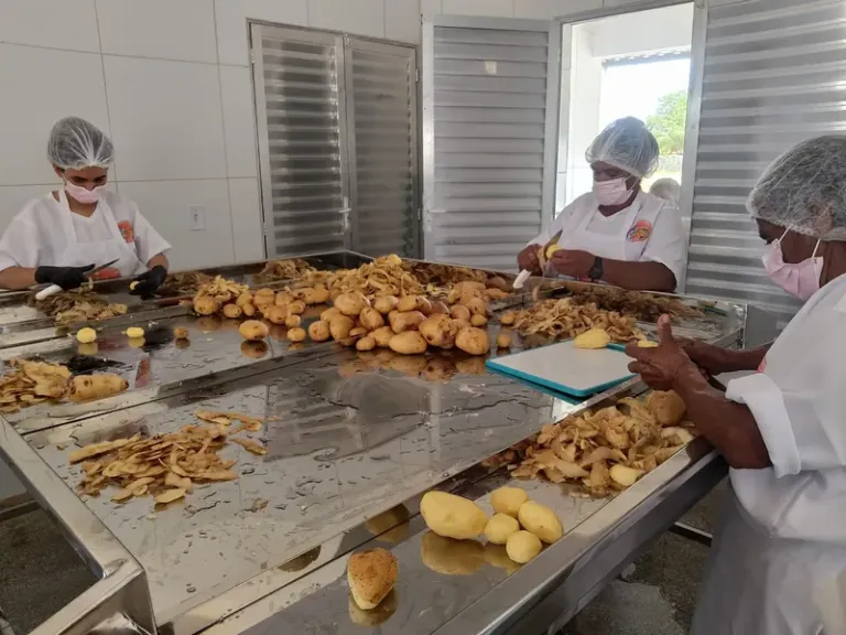 Políticas públicas ampliam autonomia de mulheres rurais na Bahia