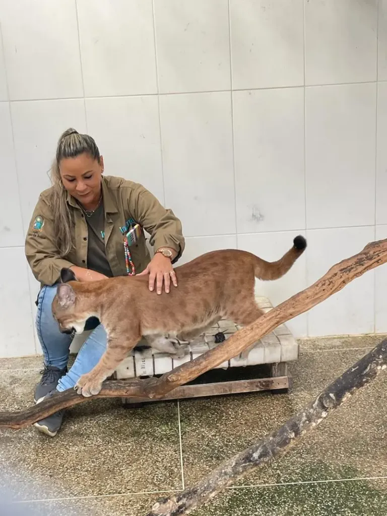 Cuidado, dedicação e protagonismo feminino que transformam o dia a dia no Parque Zoobotânico da Bahia