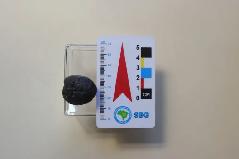 Aos 51 anos, Museu Geológico passa a exibir primeiros tectitos identificados no Brasil