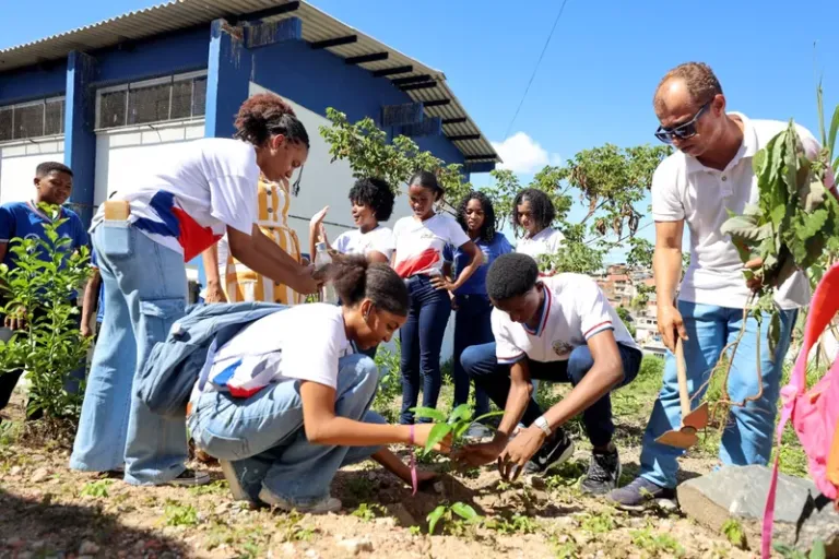 Estudantes de colégio de tempo integral transformam escola em espaço de educação ambiental e agroflorestamento