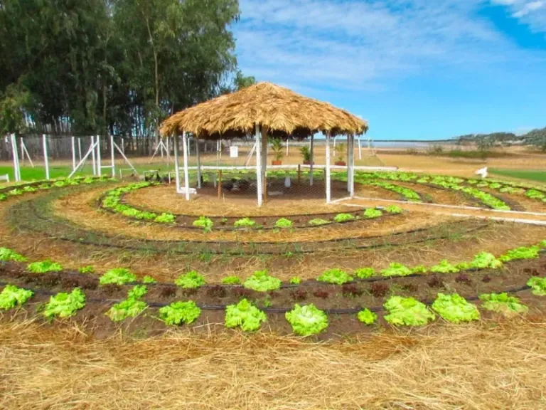 Prêmio Inova Agro vai reconhecer projetos inovadores da agropecuária baiana durante Feagri