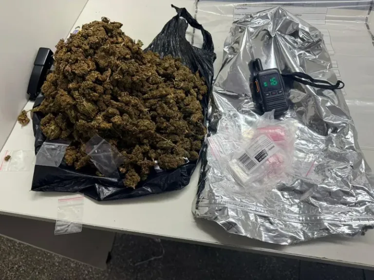 PM apreende mais de 2kg de maconha em Pirajá
