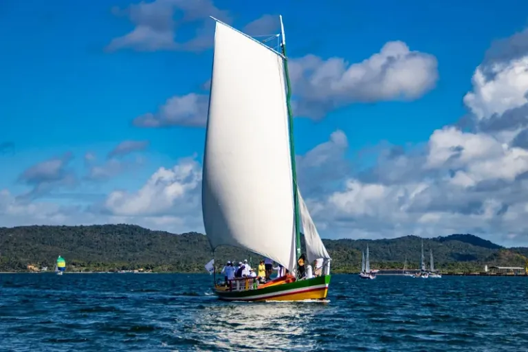 I Encontro Náutico-Cultural do Museu do Recôncavo une arte, esporte e tradição na Baía de Todos os Santos