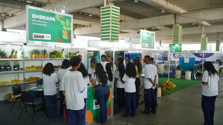 Novo serviço do Feagri conecta municípios a órgãos estratégicos da agropecuária baiana