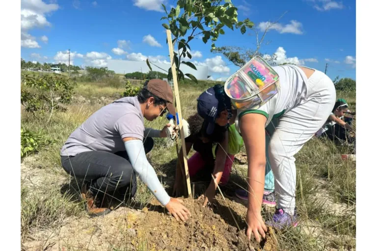 Sedur promove plantio de mudas em área de nascente do Rio Capivara