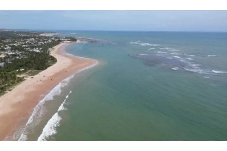 Sedur realiza ação de proteção de ninhos de tartarugas em Guarajuba
