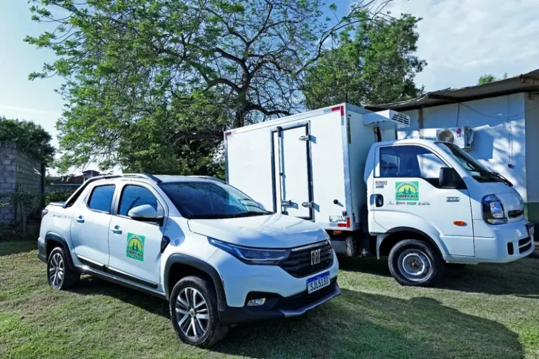 Investimentos do Governo do Estado fortalecem agricultura familiar em Itanhém