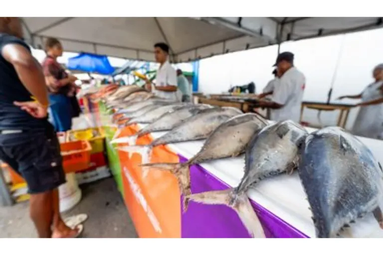 Feira do Peixe acontece em três dias no Centro Comercial de Camaçari