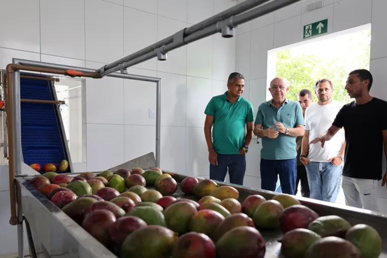 Crescimento da produção fortalece cooperativa de agricultores e pescadores em Feira de Santana