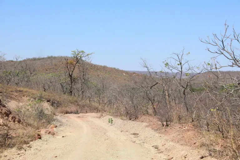Relatório da ANA destaca redução da seca na Bahia e reforça ações de monitoramento e gestão hídrica
