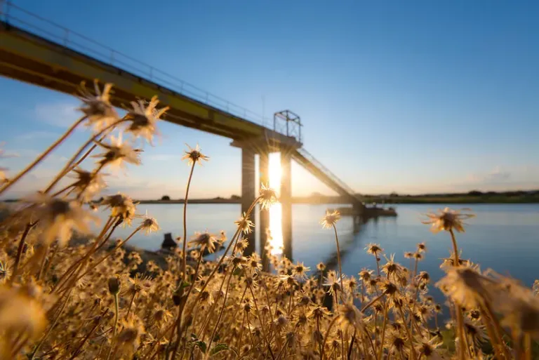 Dia Mundial da Água: Sistema ampliado reforça abastecimento em comunidades rurais na região de Irecê