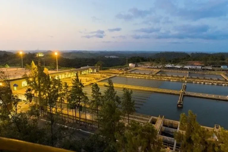 Salvador faz aniversário com avanços e novos investimentos em saneamento