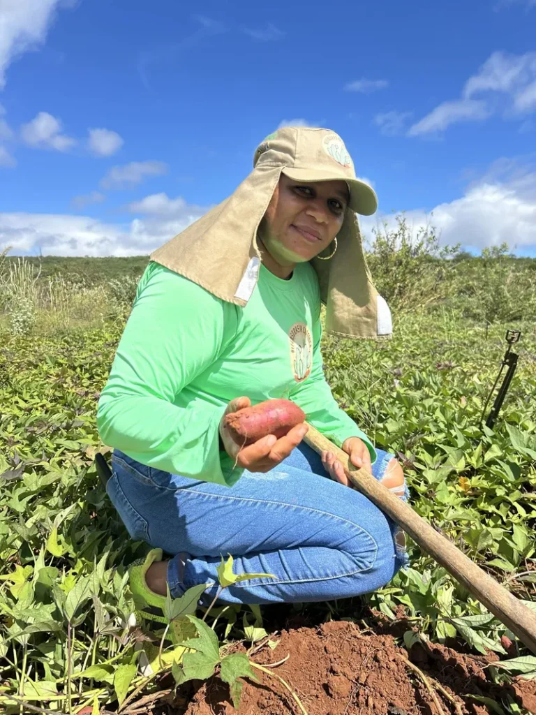 Produção coletiva fortalece mulheres de Fundo de Pasto no semiárido baiano