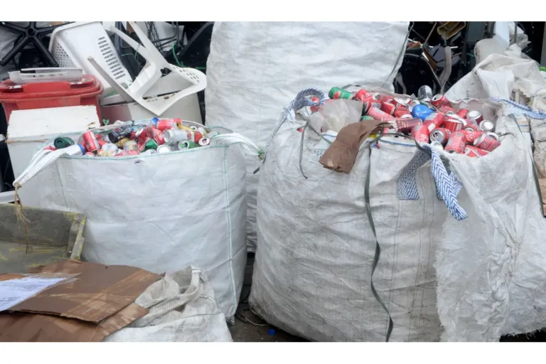 Cooperativas transformam 280 toneladas de materiais recicláveis coletados durante o Carnaval em fonte de renda