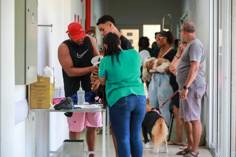 Hospital Público Veterinário de Salvador completa 2 anos com mais de 337 mil atendimentos