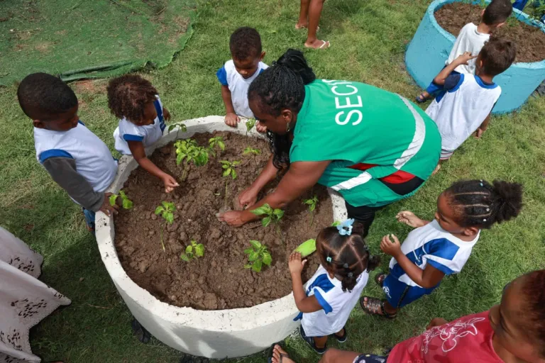 Entrega de horta escolar fortalece educação ambiental no CMEI Lindaura Mendonça