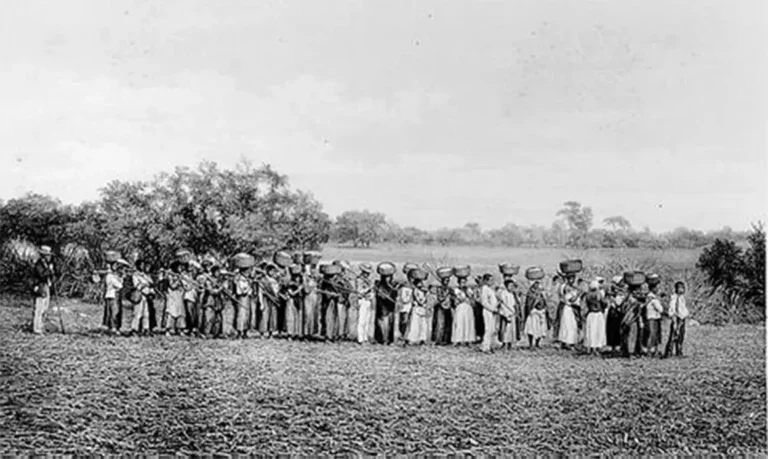 Maioria de empresários que apoiou ditadura vem de famílias escravistas