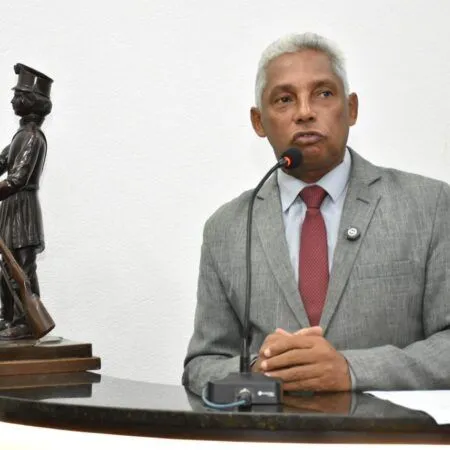 Poda de árvore, capinação e limpeza são solicitadas para o bairro Cidade Nova