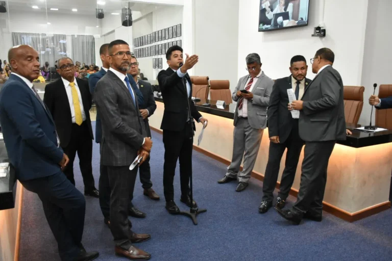 Vereadores criticam ausência da diretora do HGCA na audiência pública sobre regulação