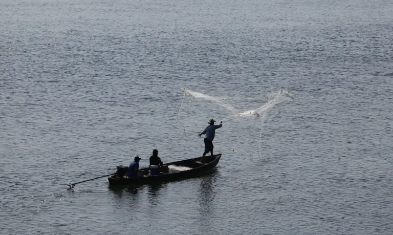 Universidade do Mar se torna realidade no Rio de Janeiro