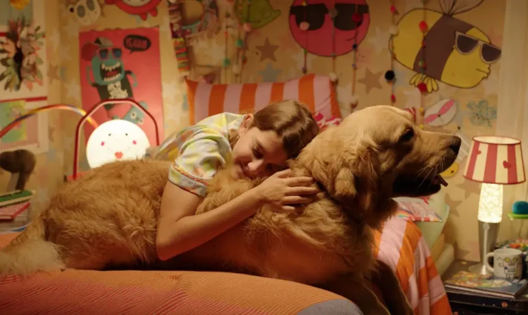 Festival de cinema BIFF 2026 divulga programação e selecionados