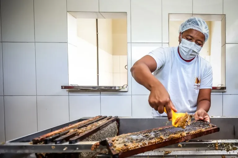 Morpará ganha unidade de mel e classificadora de ovos para fortalecer agricultura familiar