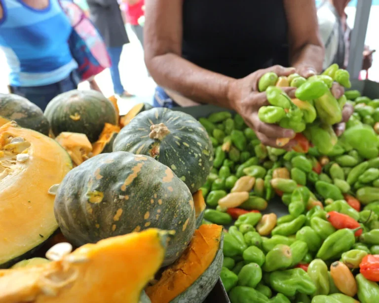 Feira Solidária da Prefeitura de Juazeiro distribui cerca de 8 toneladas de alimentos e beneficia mais de 350 pessoas do Residencial São Francisco