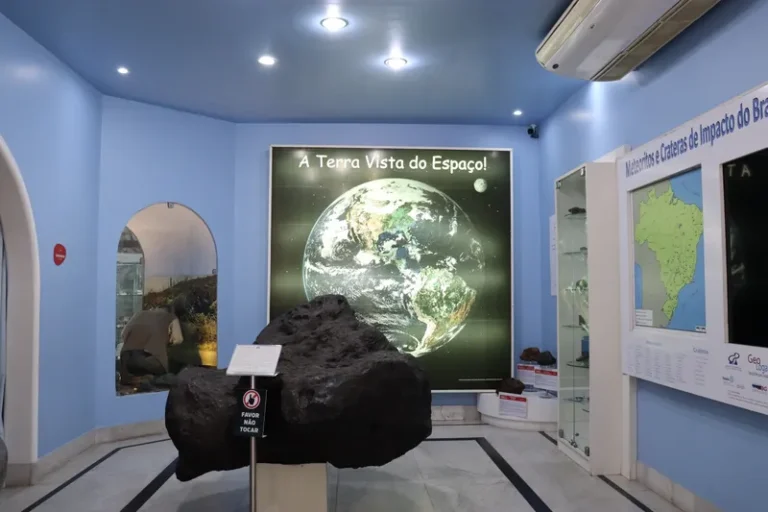 Dia Mundial da Terra: MGB oferece imersão da evolução do planeta